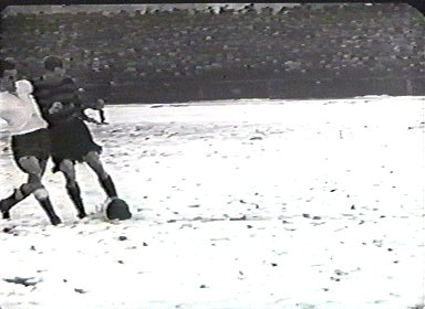 Image20.jpg