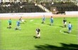 tor10.jpg