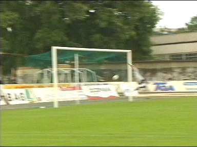 ... 6:1.
Schlüsselwörter: Holetschek