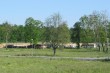 IMG_4144.JPG
