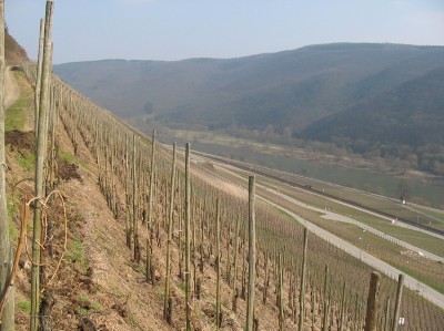 Noch nix los mit Wein hier
