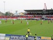 IMG_9917.jpg