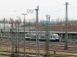 IMG_9931.jpg