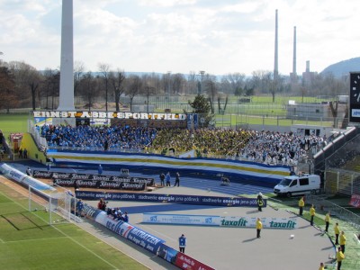 Südkurve in Blau-Gelb-Weiß
