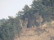 IMG_6676.JPG