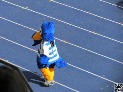 IMG_7431.JPG