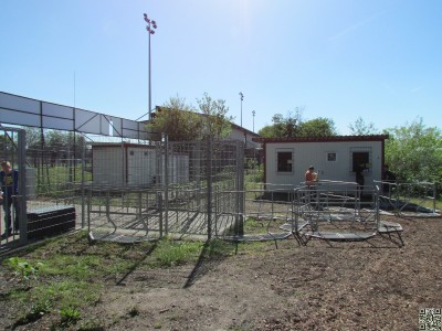 Eingang in die Arena
