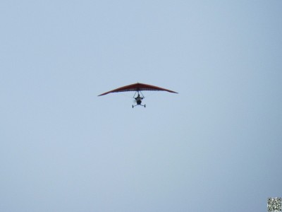 IMG_7555.JPG