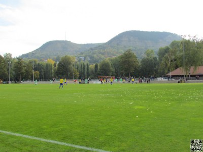 IMG_8181.jpg