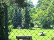 Dateiname=IMG_9589.JPG
Dateigröße=470KB
Abmessungen: 1200x900
hinzugefügt am: 29. Mai 2017 IMG_9589.JPG