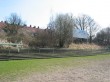 IMG_5173.JPG